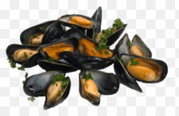 Cooked Mussels With Parsley Transparent - Mussels Png,Seashells Png