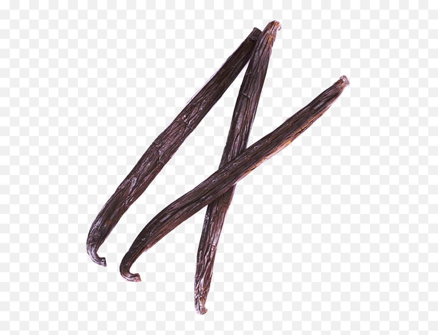 Tahitian Vanilla Beans - Vanilla Beans Png,Vanilla Bean Png