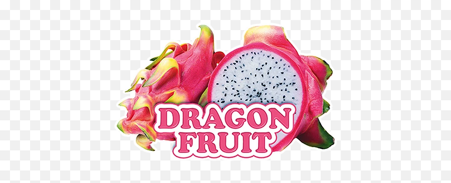 Slush Puppie Dragon Fruit Slushy Mix 275l Peacecountrycoffee - Slush Puppie Dragon Fruit Png,Dragon Fruit Png