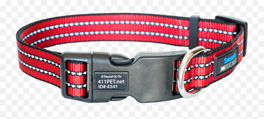 Smartbuckle Plus Dog Collar - Martingale Png,Dog Collar Png Smartbuckle Plus Dog Collar - Martingale Png,Dog Collar Png