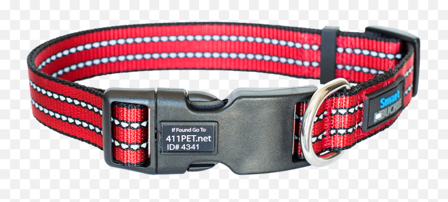 Smartbuckle Plus Dog Collar - Martingale Png,Dog Collar Png