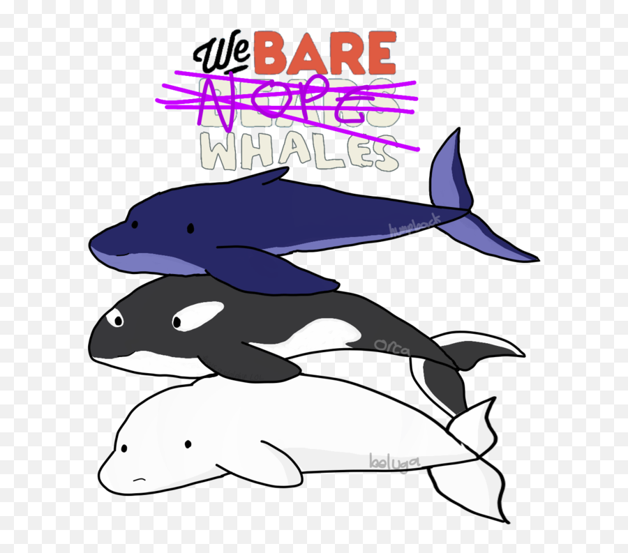 Download Hd Killer Whale Transparent Png Image - Nicepngcom We Bare Bears,Killer Whale Png