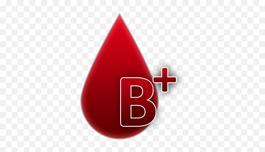 Blood Group B Rh Factor Positive - Free Image On Pixabay Blood Group B Png,Group Png