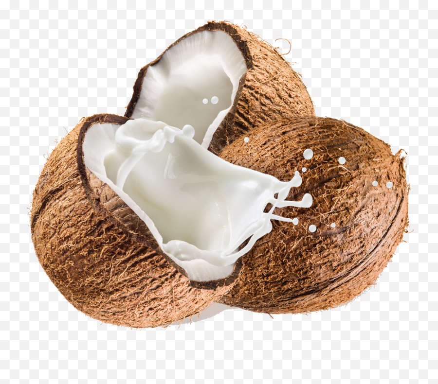 Coconut Transparent Background Png - Coconut Milk Splash Png,Coconut Transparent