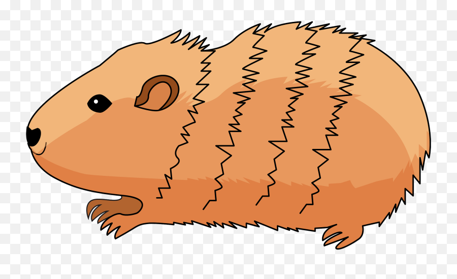 Guinea Pig Clipart Free Download Transparent Png Creazilla - Soft,Guinea Pig Png