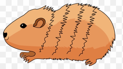 Guinea Pig Clipart Free Download Transparent Png Creazilla - Soft,Guinea Pig Png