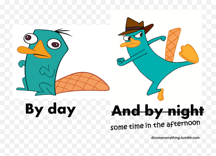 Download U201c Follow For More Disneyu0027s Phineas And Ferb Agent P - Agent P Perry The Platypus Png,Perry The Platypus Png