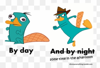 Download U201c Follow For More Disneyu0027s Phineas And Ferb Agent P - Agent P Perry The Platypus Png,Perry The Platypus Png