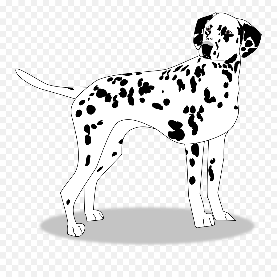 Dalmatian Clipart Dalmation - Dalmatian Dog Clipart Black And White Png,Dalmatian Png