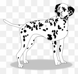 Dalmatian Clipart Dalmation - Dalmatian Dog Clipart Black And White Png,Dalmatian Png