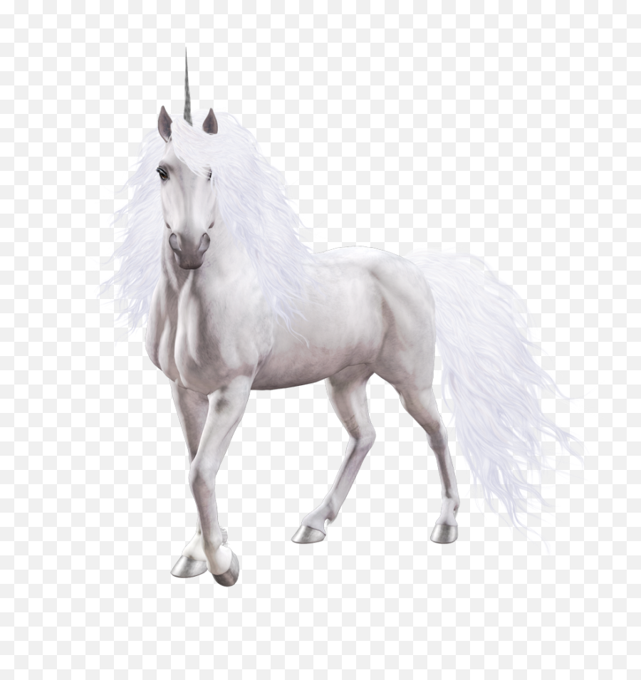 Png Unicorn - Real Unicorn Transparent Background,Transparent Unicorn