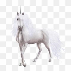 Png Unicorn - Real Transparent Background