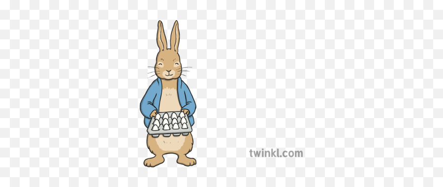Peter Rabbit 12 Eggs Illustration - Twinkl Cartoon Png,Peter Rabbit Png