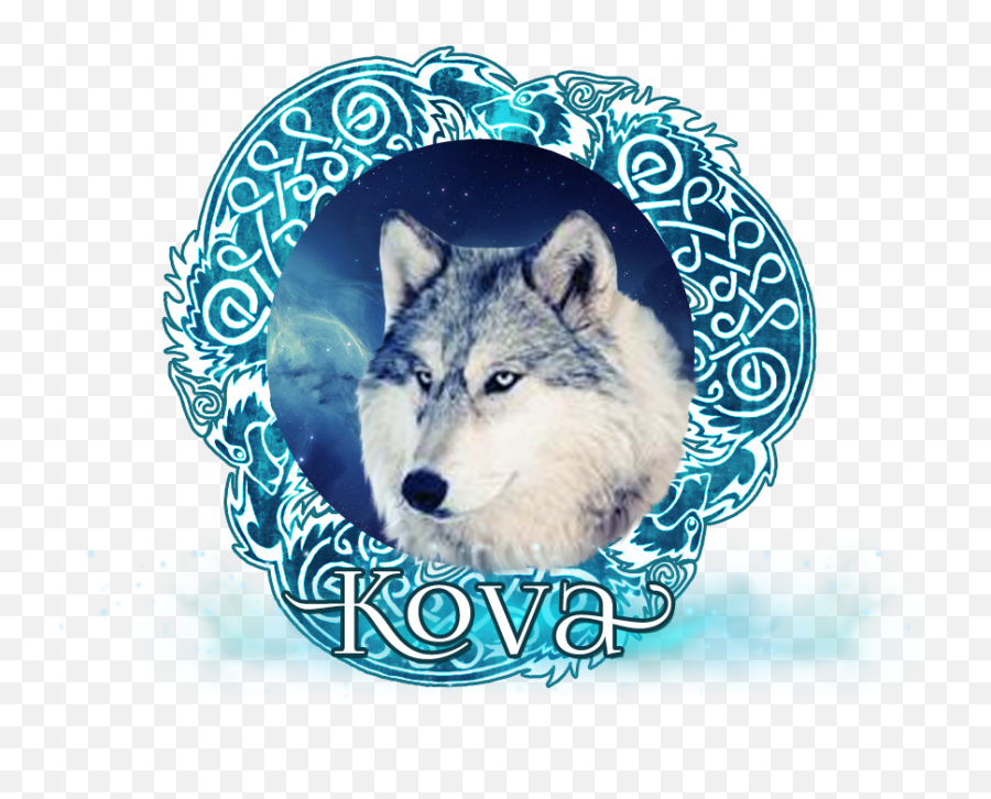 News Archives Wolfspirits - Alaskan Tundra Wolf Png,Wolfs Rain Icon