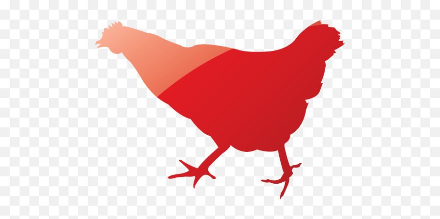 Web 2 Ruby Red Chicken Icon - Chicken 512x512 Png Chainsaw Chicken,Web 2.0 Icon