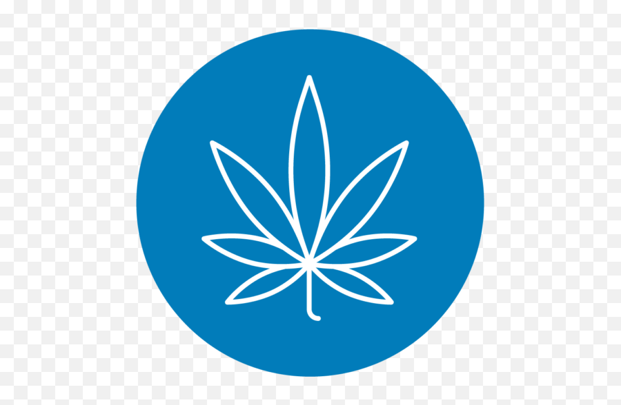 The Sparc Story - Feuille De Cannabis Neon Png,Medical Marijuana Icon