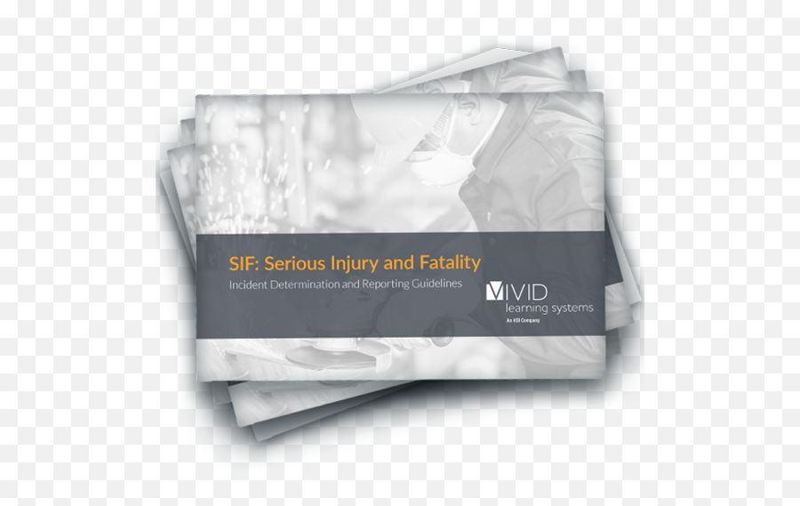 Sif Serious Injury And Fatality Vivid Learning Systems - Mail Bag Png,Fatality Png