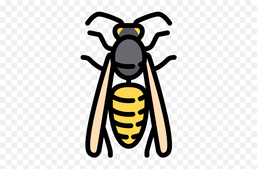 Wasp Png Icon - Wasp,Wasp Png