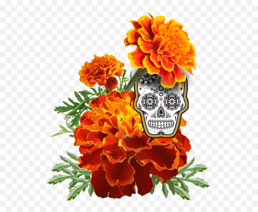 Dead Flower Graphic Freeuse Png Files - Dia De Los Muertos Marigold Png,Dead Flowers Png