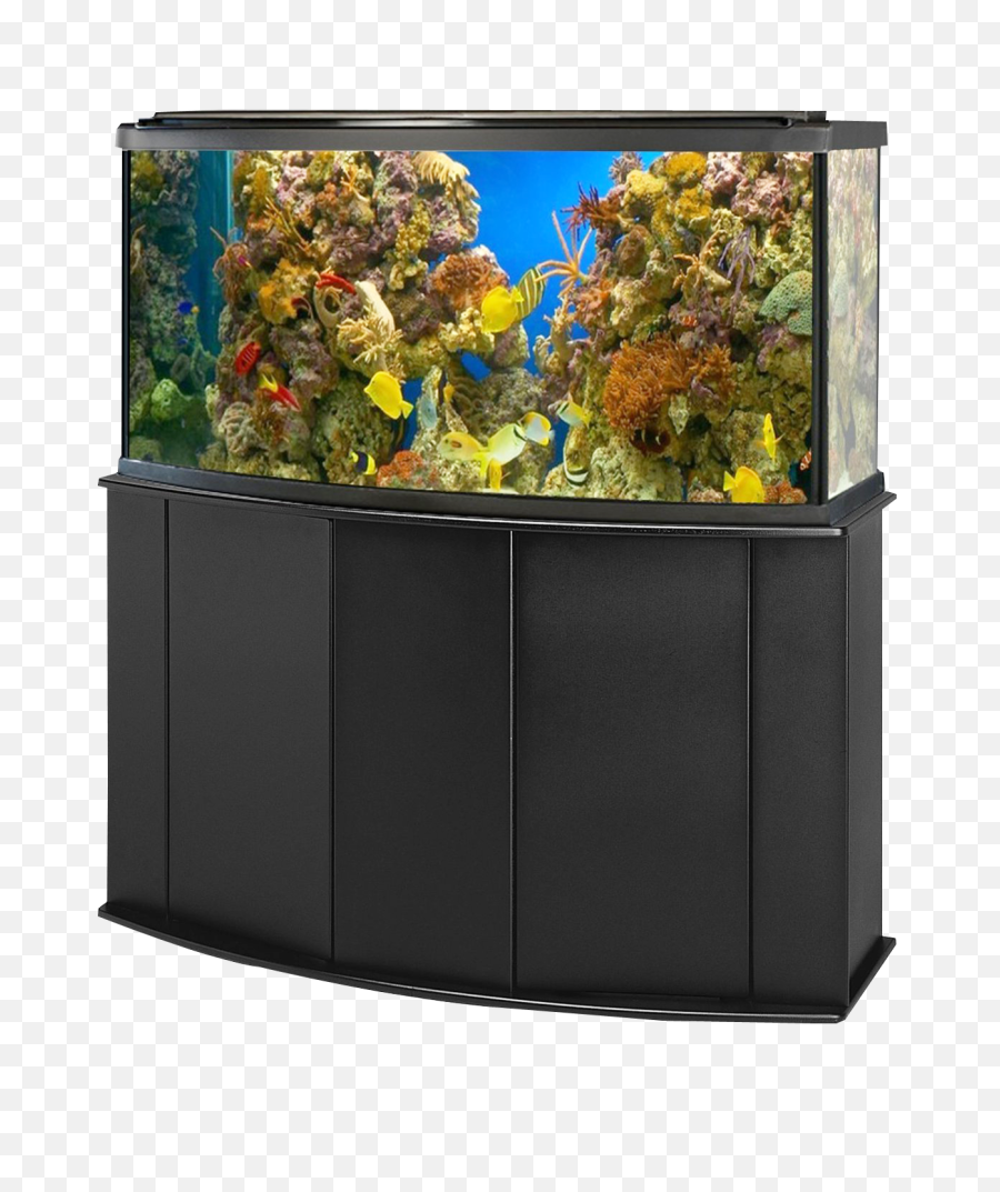 Aquarium Fish Tank Png Image - Transparent Background Fish Tank,Tank Transparent Background