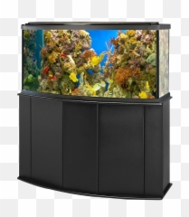 Aquarium Fish Tank Png Image - Transparent Background Fish Tank,Tank Transparent Background