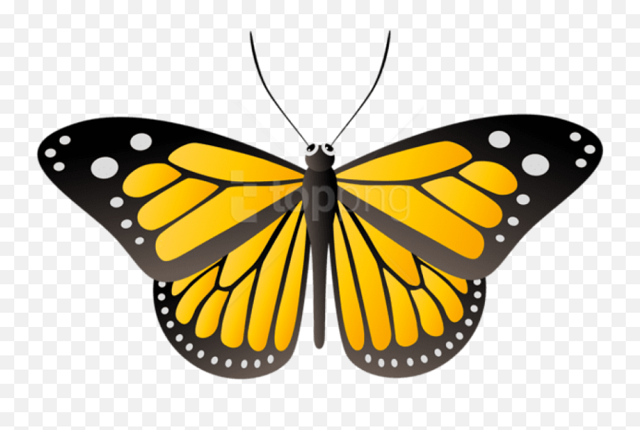 Download Butterfly Yellow Clipart Png - Yellow Butterfly Png,Blue Butterfly Png