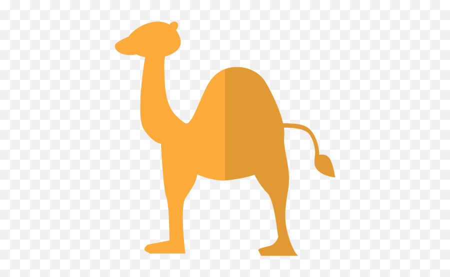 Transparent Camel Cartoon - Imagenes Png Transparente Dibujo Camello,Camel Png