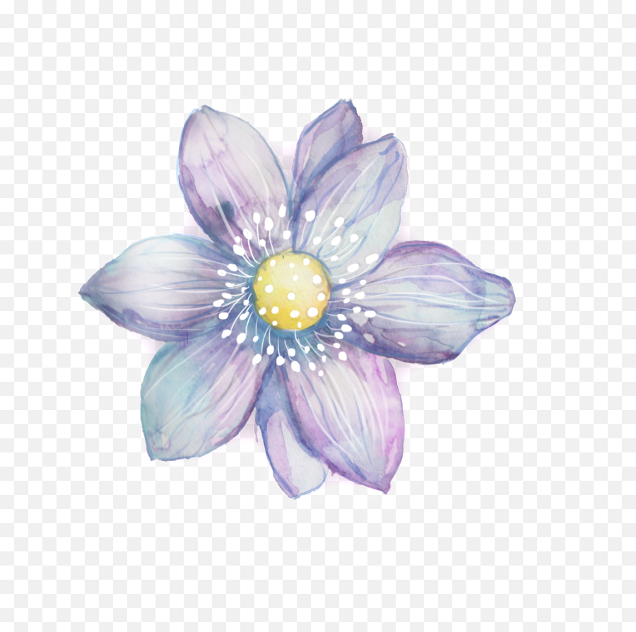 Download Hd Purple White Petals - Purple Watercolor Flowers Clipart Png,Rose Petals Transparent Background