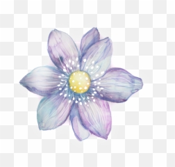 Download Hd Purple White Petals - Watercolor Flowers Clipart png