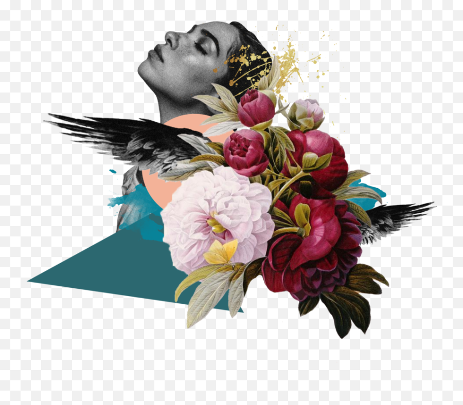 Radiant Raven U2014 Studio Linear - Awardwinning Creative Pierre Joseph Redoute Peony Png,Collage Png