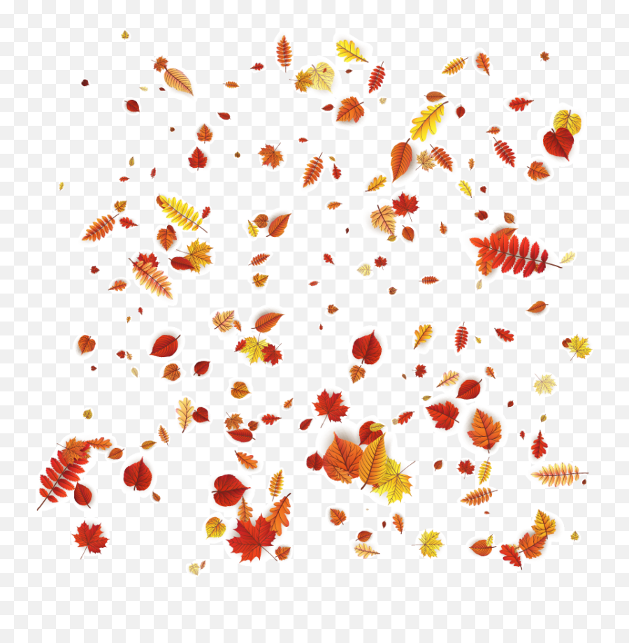 Petal Floral Design Orange Pattern - Vector Autumn Leaves Falling Autumn Leaves Hd Png,Bleach Transparent Background
