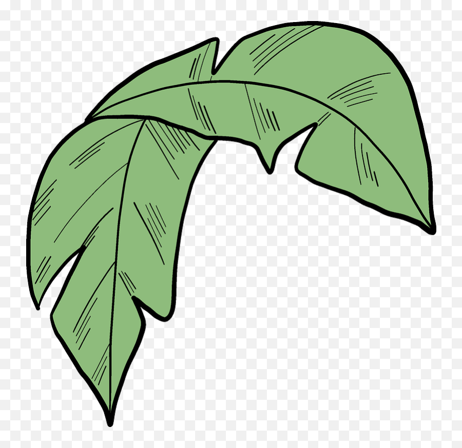 Palm Leaf Clipart - Clip Art Png,Leaf Transparent