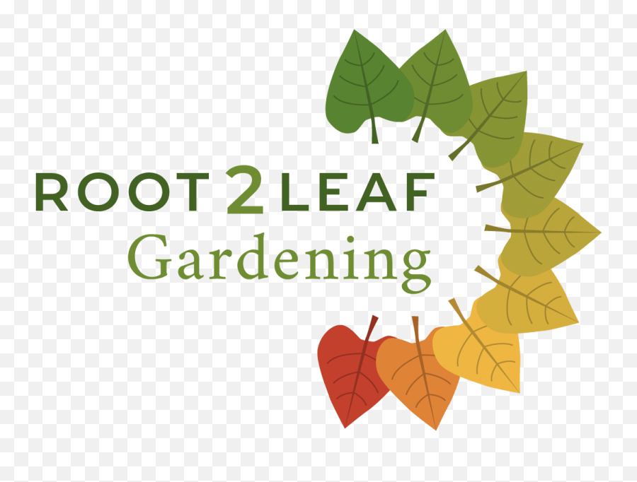 Branding Design Root 2 Leaf F8 The Visual Identity Agency - Design Png,Leaf Logo