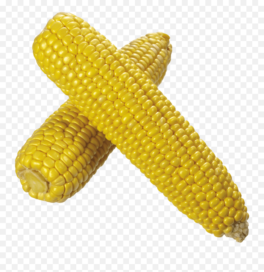 Download Corn Png Image Hq - Matrimandir,Corn Cob Png