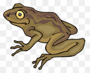 Clipart Frog Toad - Toad Clipart Png,Toad Png