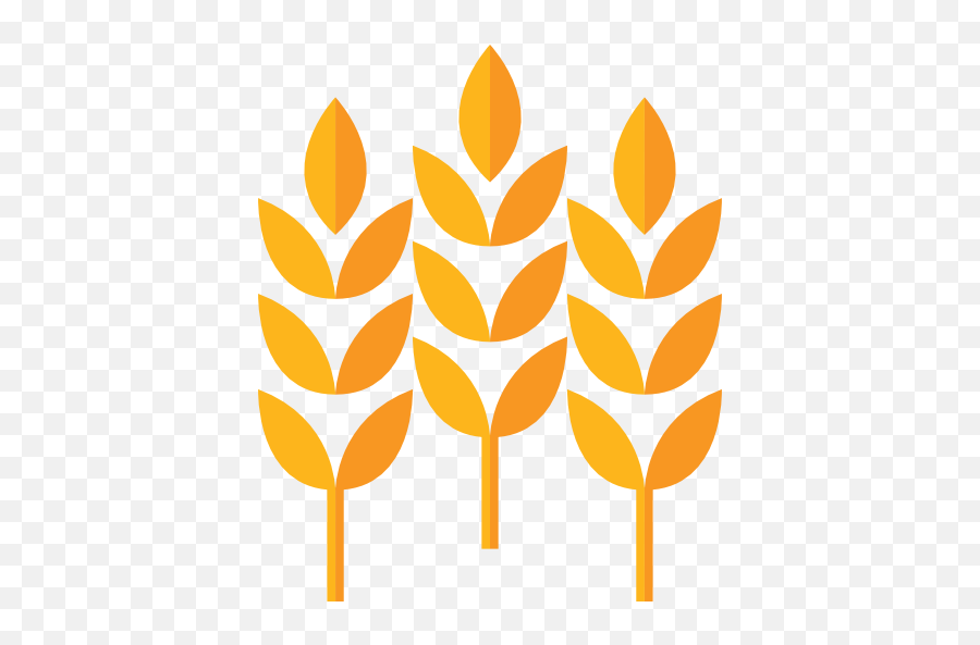 Leaves Food Branch Wheat Nature Barley Icon - Water And Climate Change Relation Png,Barley Png