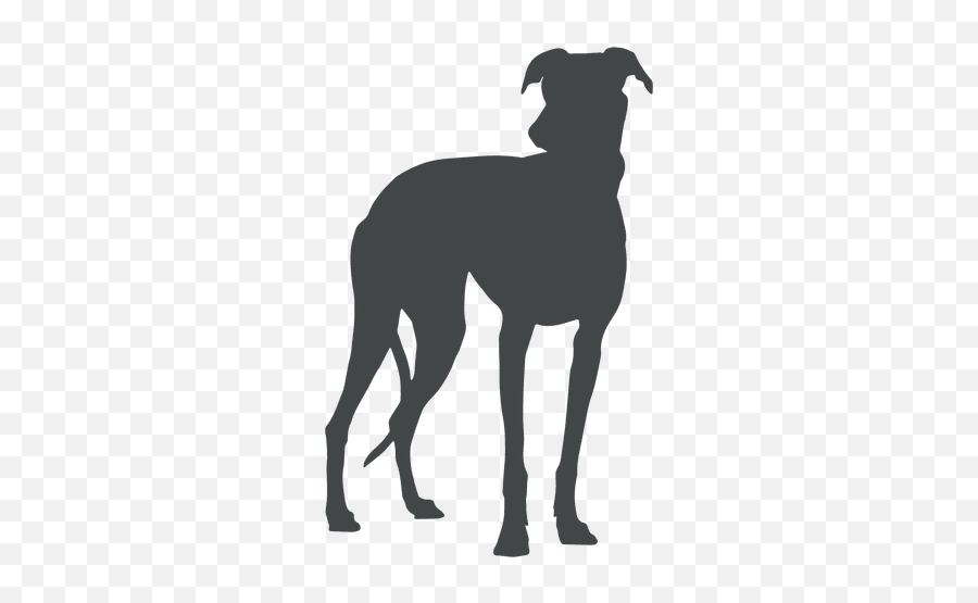 Big Dog Silhouette Posing - Transparent Png U0026 Svg Vector File Chien De Chasse Espagnol,Dog Silhouette Png