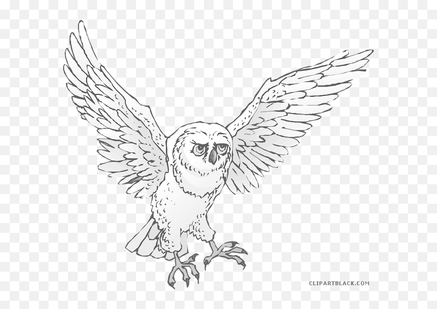 Download Snowy Owl Clipart Real - Clip Art Full Size Snowy Owl Clipart Png,Owl Clipart Png