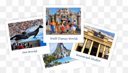 Download Hd Disneyland Sleeping Beauty Castle Transparent - Banner png