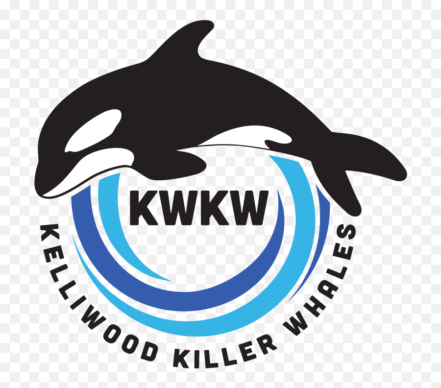 Home - Kelliwood Killer Whales Killer Whale Logo Png,Killer Whale Png