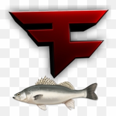 Needs To - Effect Nanoparticle On Fish Png,Faze Banks Logo