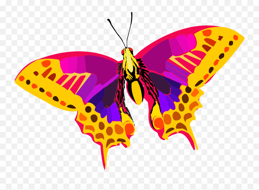 Download Abstract Colors Png Hd - Free Transparent Png Colorful Butterfly Icon Png,Colors Png