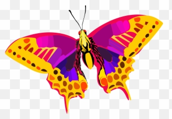 Download Abstract Colors Png Hd - Free Transparent Colorful Butterfly Icon Png