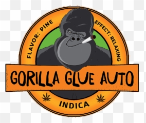 Peps Solar Eclipse 450 Lights Up Some - Big Png,Gorilla Glue Logo