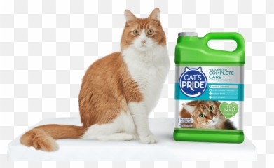 Find A Store - Catu0027s Pride Pride Unscented Litter Png,Transparent Cat