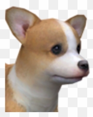 Pembroke Welsh Corgi - Northern Breed Group Png,Corgi Transparent