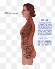 May 27 2021 - For Women png