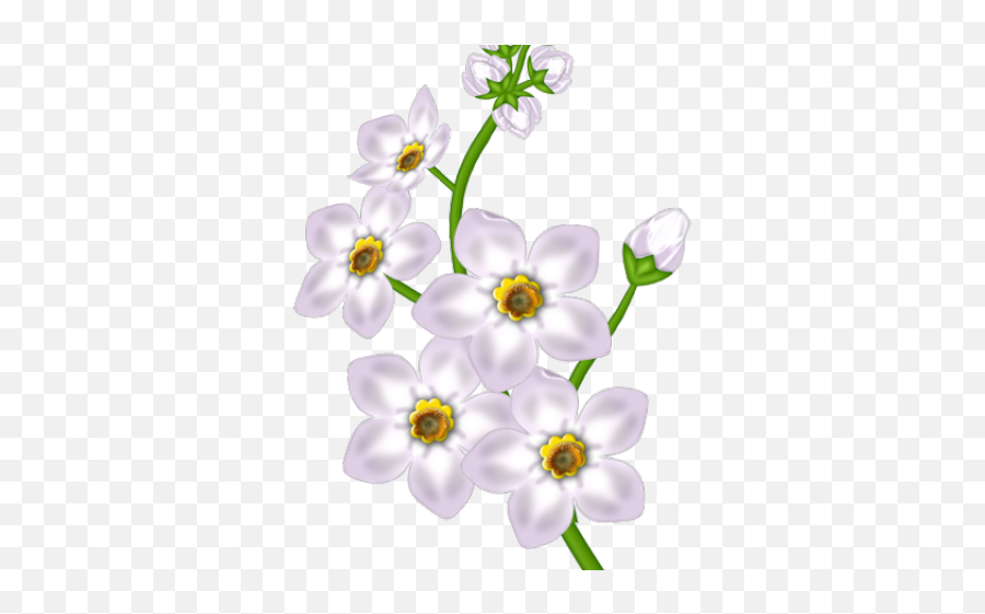 Download White Flower Clipart - Good Morning Messages Marathi Download Png,Flower Clipart Transparent Background
