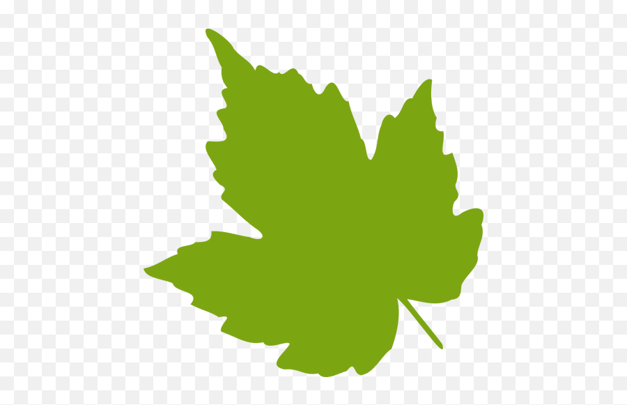 Green Maple Leaf Vector Image Public Domain Vectors - Clip Art Grape Leaf Png,Green Leaf Icon Png