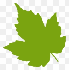 Green Maple Leaf Vector Image Public Domain Vectors - Clip Art Grape Leaf png